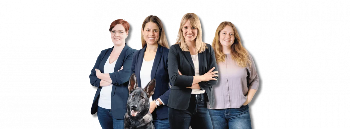 Foto der Mitarbeiter bei iNOVO