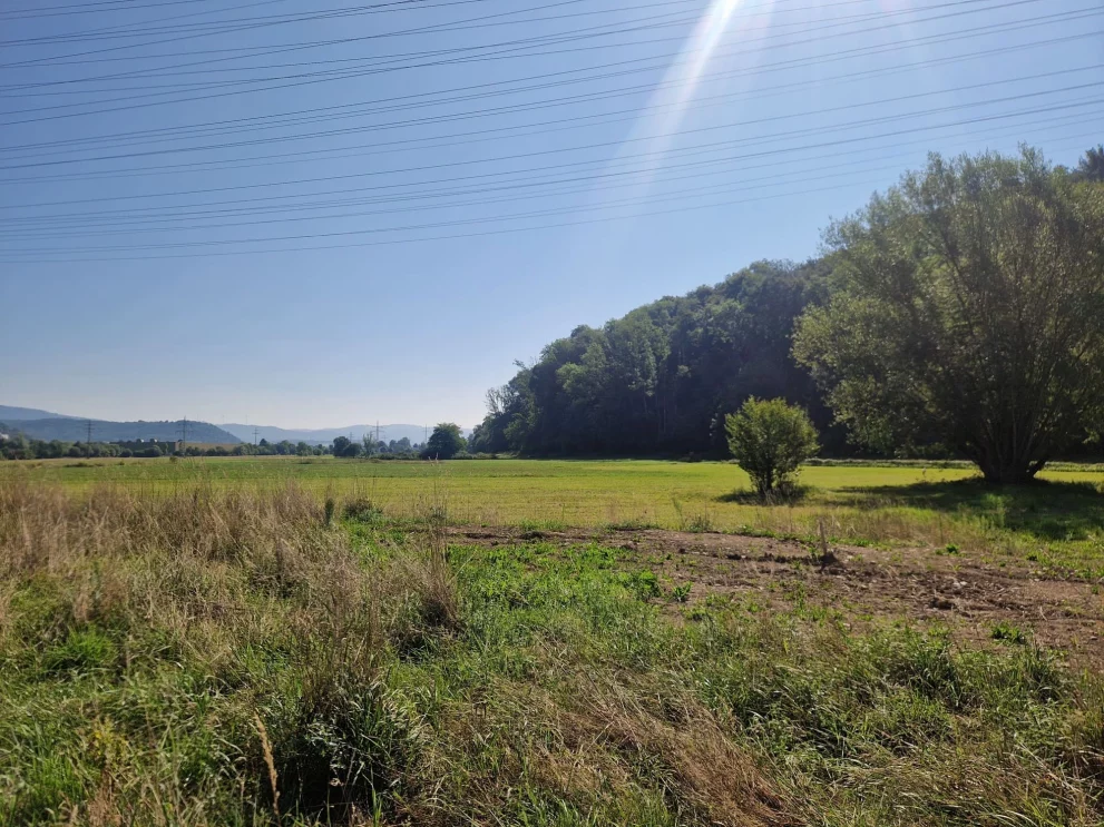 Aussicht vom Neubaugebiet Scherracker in Hoellstein