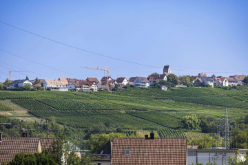 Aussicht - Frisch renovierte 4-Zimmer Wohnung FAMILIENTRAUM in Haltingen mit Balkon, Garage u. Stellpl.