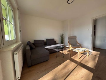 Wohnzimmer - Frisch sanierte 3-Zimmer Wohnung in Hausen mit Balkon, Einbauküche und Tageslichtbad + Stellpl.